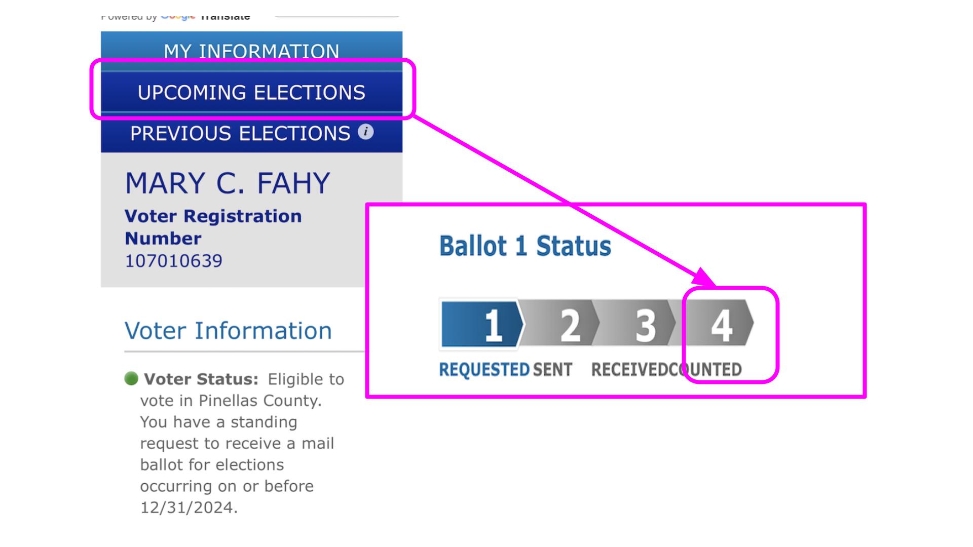 Checking Registration_Mail Ballot 9